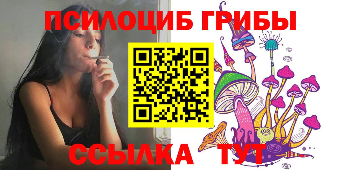 Псилоцибиновые грибы Psilocybine cubensis  купить закладку  Кыштым  Вход с VPN 