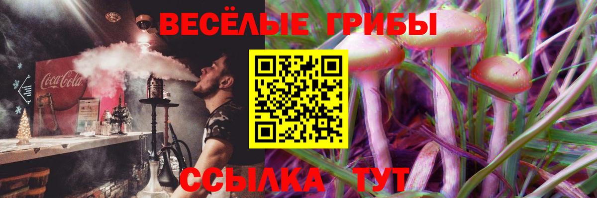 Галлюциногенные грибы Magic Shrooms Кыштым